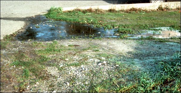 septic 
      systems texas cities 
      zip batch